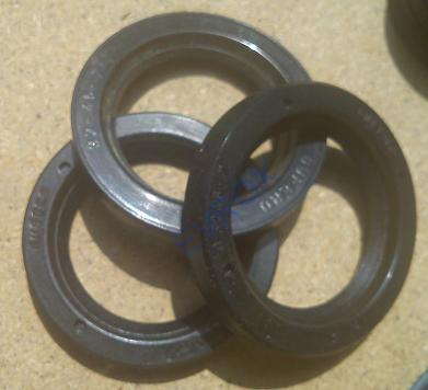 Gufero G 75x100x10