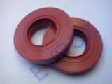 Gufero GP 70x110x10 MVQ 